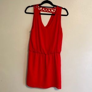 Red Dress Medium Naked Zebra